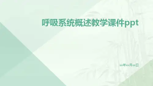 呼吸系统概述教学课件ppt