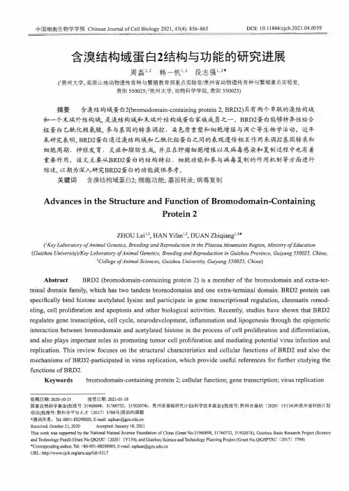 含溴结构域蛋白2结构与功能的研究进展