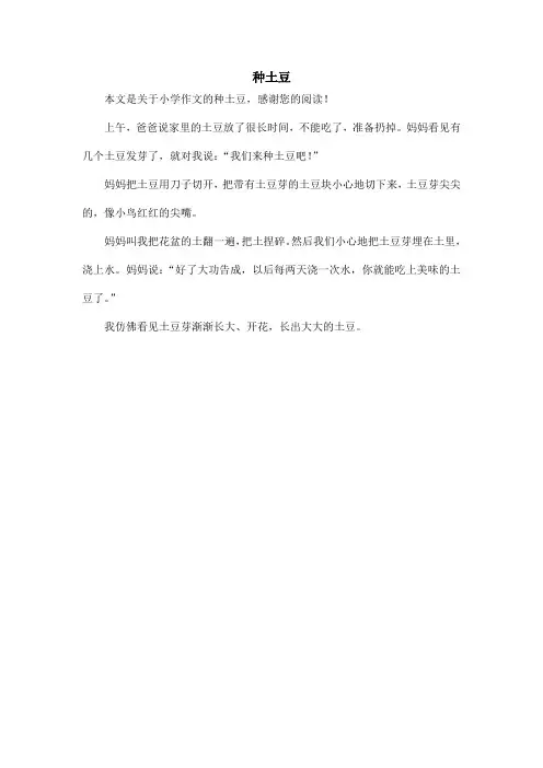 种土豆_小学作文