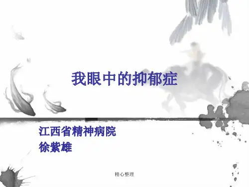 演讲稿我眼中的抑郁症-演讲ppt.ppt