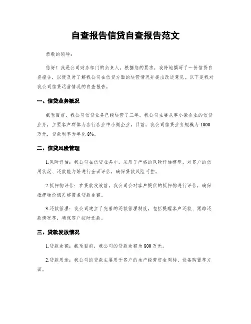 自查报告信贷自查报告范文