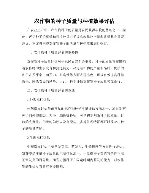 农作物的种子质量与种植效果评估