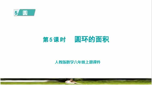 人教版六年级数学上册第五单元《圆环的面积》课件
