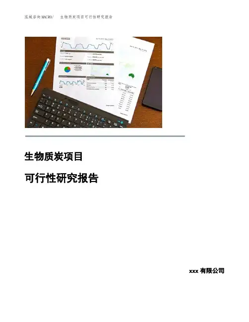 生物质炭项目可行性研究报告