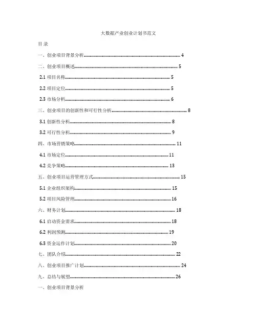 大数据产业创业计划书范文