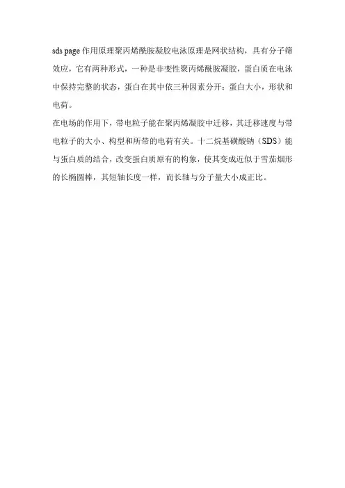 sds page凝胶电泳原理