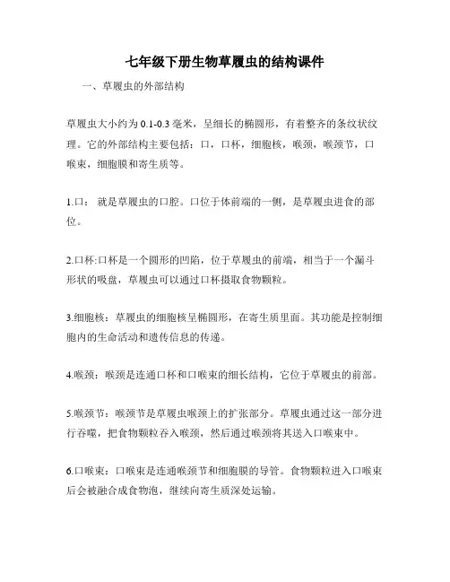 七年级下册生物草履虫的结构课件