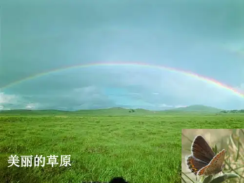 维护生态平衡优秀课件