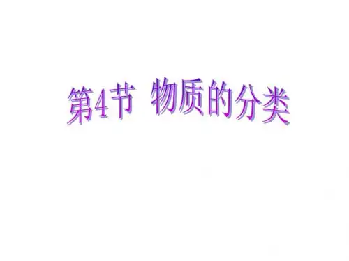 浙教版九年级科学上册2.4 物质的分类 (共23张PPT)