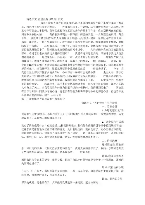 再也没有(800字)作文
