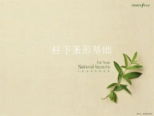 柱下条形基础