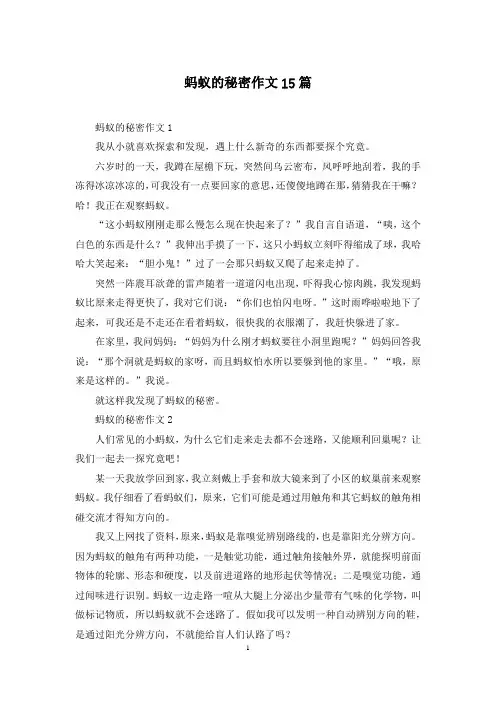 蚂蚁的秘密作文15篇