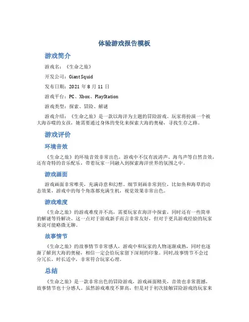 体验游戏报告模板