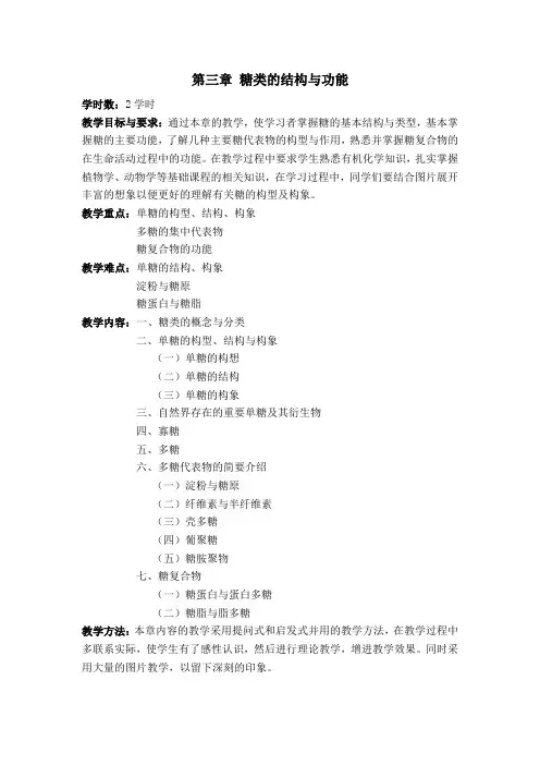 糖类的结构与功能