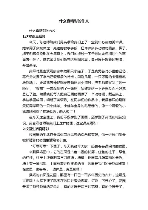 什么真精彩的作文