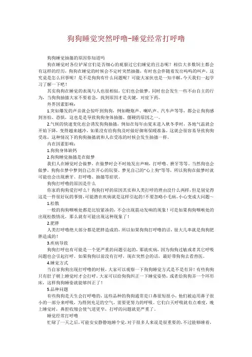 狗狗睡觉突然呼噜-睡觉经常打呼噜