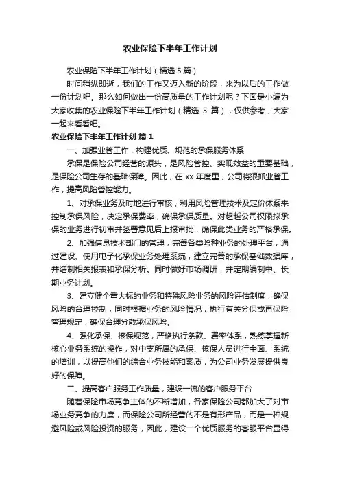 农业保险下半年工作计划（精选5篇）