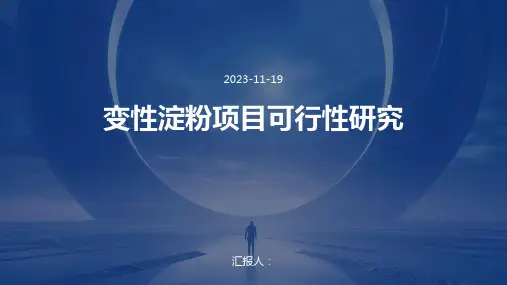 变性淀粉项目可行性研究