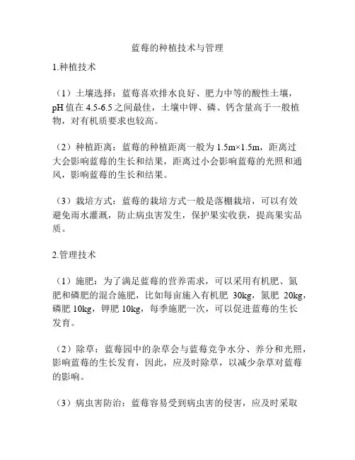 蓝莓的种植技术与管理