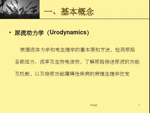 尿流动力学检查