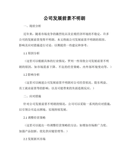 公司发展前景不明朗