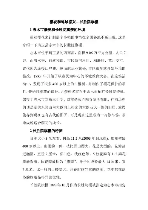 樱花百科19