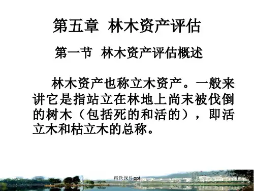 第五章用材林林木资产评估9ppt课件