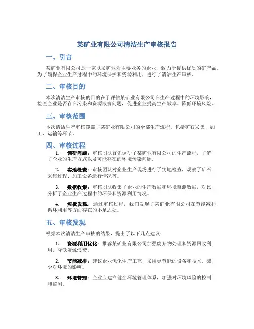 某矿业有限公司清洁生产审核报告