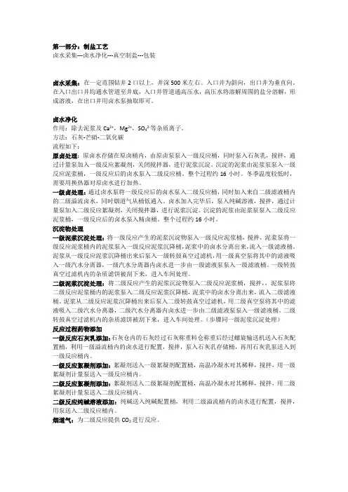 制盐工艺及设备