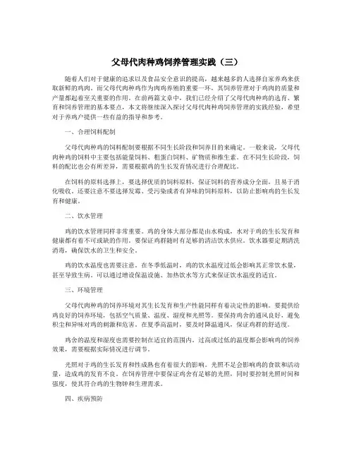 父母代肉种鸡饲养管理实践(三)