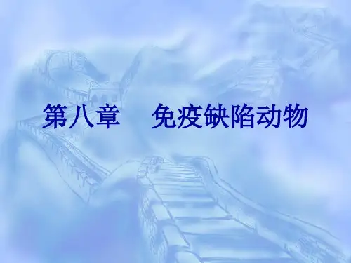 第八章免疫缺陷动物