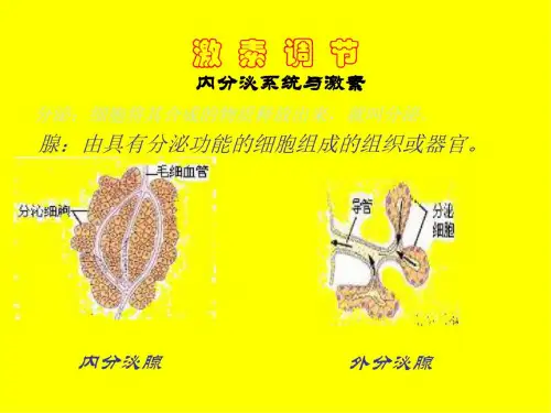 七年级生物激素调节3_5617