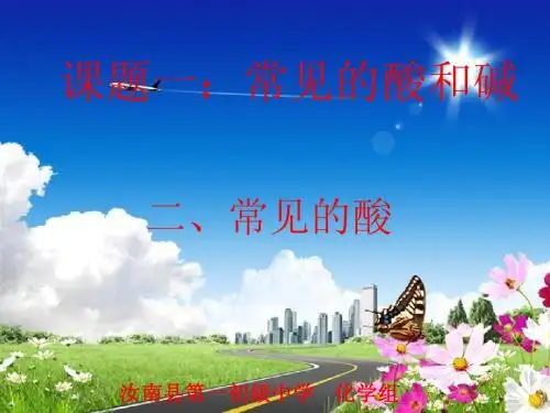 常见的酸(一)