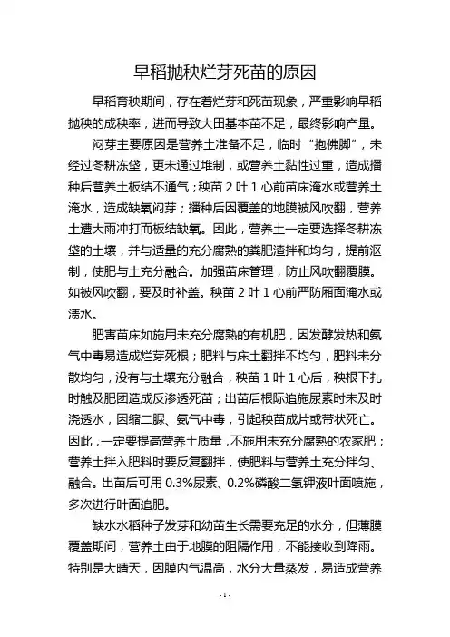 早稻抛秧烂芽死苗的原因