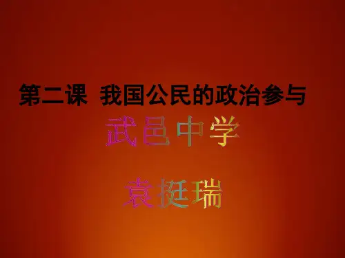 我国公民的政治参与知识点总结