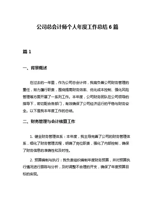 公司总会计师个人年度工作总结6篇