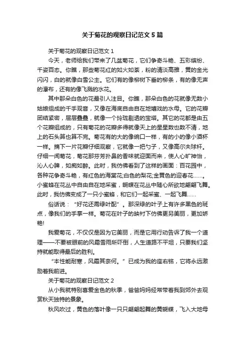 关于菊花的观察日记范文5篇