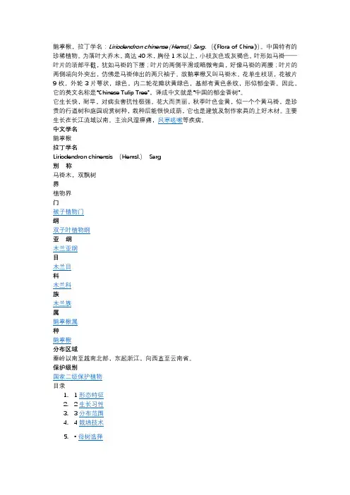鹅掌楸