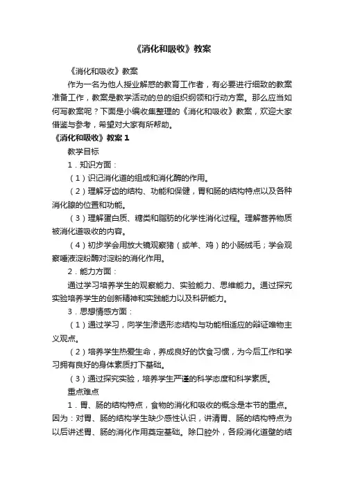 《消化和吸收》教案