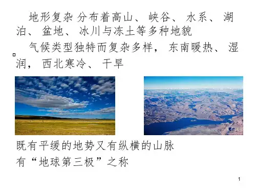 青藏高原的高寒植被PPT精选文档