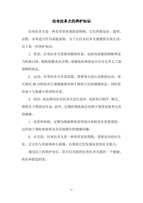 拉布拉多犬的养护知识