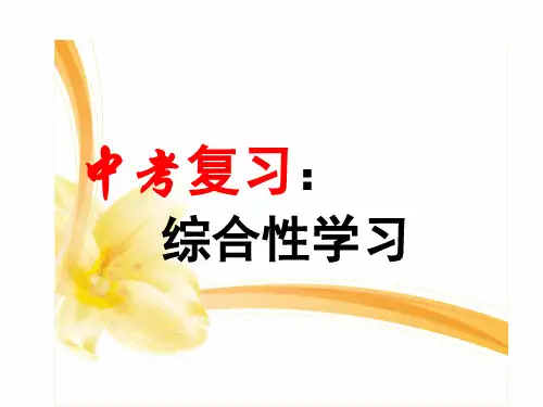 中考语文 《 综合性学习》优秀PPT (27张)
