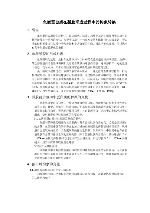 鱼糜蛋白质在凝胶形成过程中的变化 - 副本