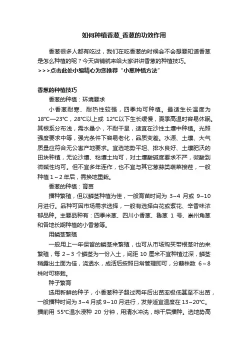 如何种植香葱_香葱的功效作用