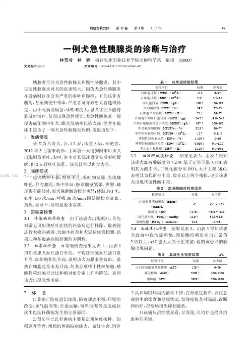 一例犬急件胰腺炎的诊断与治疗