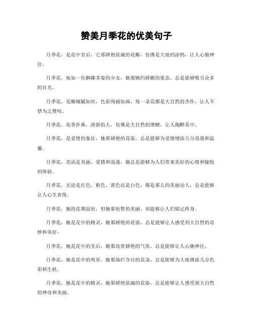 赞美月季花的优美句子