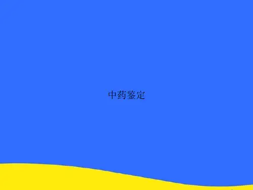 中药鉴定PPT资料【优选版】