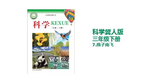 三年级科学下册燕子南飞冀人版