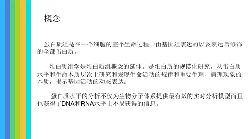 蛋白质组学及技术介绍PPT通用课件.ppt