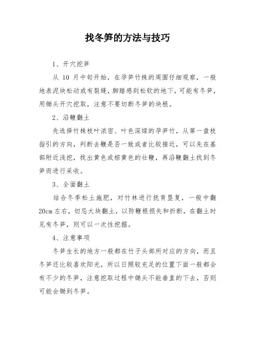 找冬笋的方法与技巧